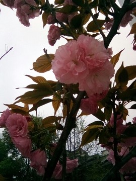 梦💞洁主播照片