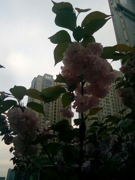 梦💞洁主播照片