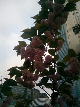 梦💞洁主播照片