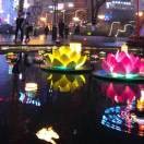 zhou菊