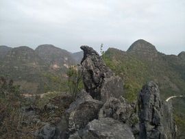 過客(huge)主播照片