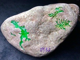 翡翠原石仙玉珠宝主播照片