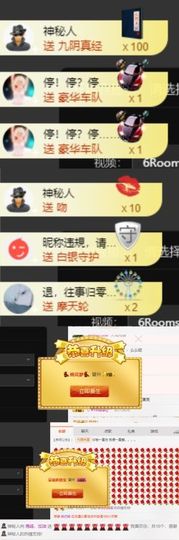 海鸽休息几天主播照片