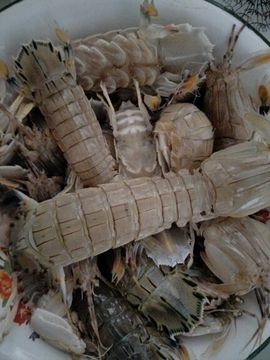 vfufgkkg主播照片