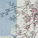 文强@武少