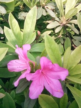 梦💞洁主播照片