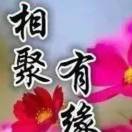 随遇而安0kg海报