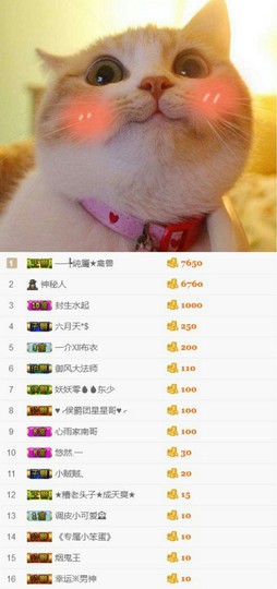 義心脸过敏暂休主播照片