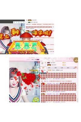 一只雁~主播照片