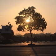 不要问我，⋯海报