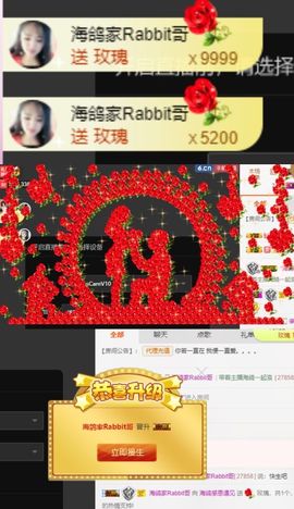 海鸽休息几天主播照片