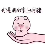 栩栩如生2的头像