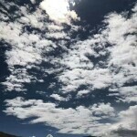🌙蓝天🌙白☁云的头像