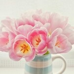 熊熊25u主播照片