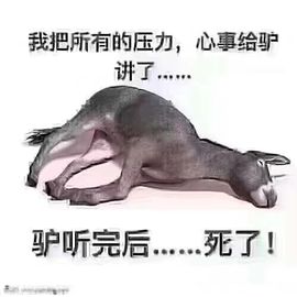 一只雁~主播照片