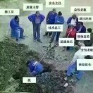 狼k7z的头像