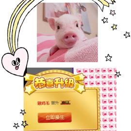 跑调嘉💟主播照片