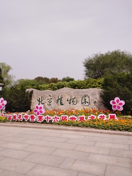 沙漠英雄《无与伦比》的主播照片