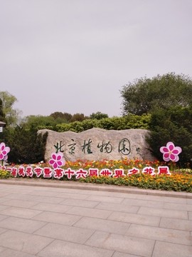沙漠英雄《无与伦比》主播照片