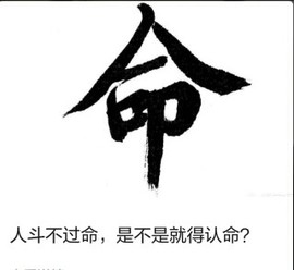 ＊|▍＊學會＊抢女人主播照片