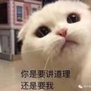 一个没有梦想的肥宅