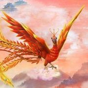 朱雀娱乐