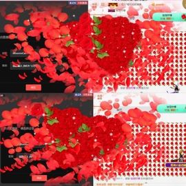 海鸽休息几天主播照片