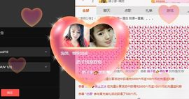 海鸽休息几天主播照片