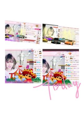 一只雁~主播照片