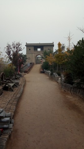 隨風的沙主播照片