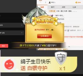 海鸽休息几天主播照片