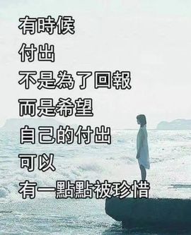 一只雁~主播照片
