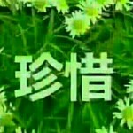 初听不识曲中意😱海报