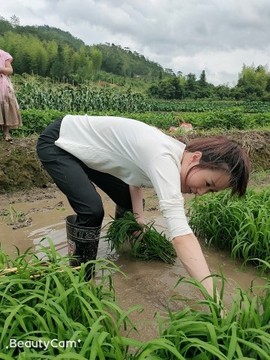 迷豆退_珍重！主播照片