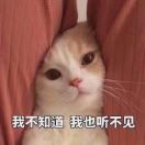 不快乐的阿阳。