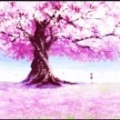 手握日月摘星辰j