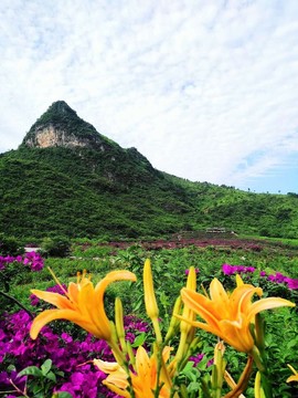 桂林旅游阿牛哥主播照片