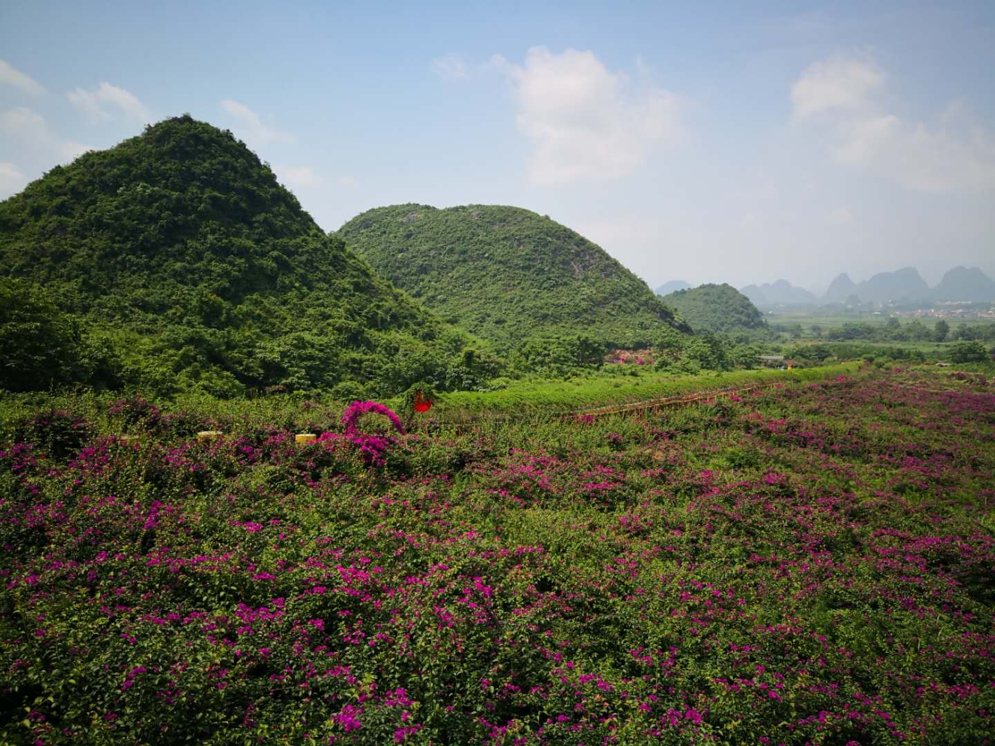 桂林旅游阿牛哥的主播照片