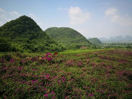 桂林旅游阿牛哥主播照片