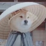 蚊子😜