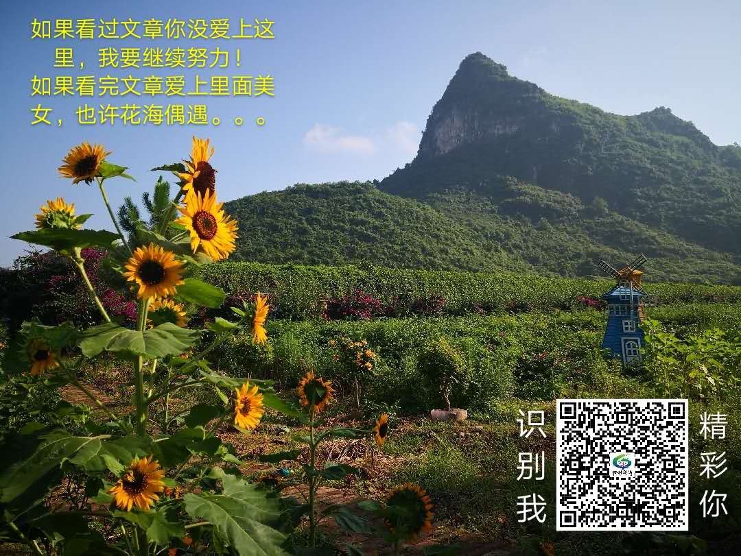 桂林旅游阿牛哥的主播照片