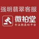 大嘴翡翠