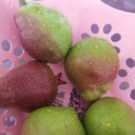 乖“我们的回忆，😘主播照片