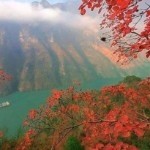 衡山剑客