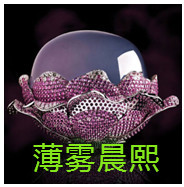 人间某处主播照片