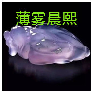 人间某处主播照片