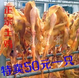 老码猴主播照片