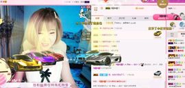 一只雁~主播照片