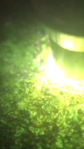 莫西沙脱沙手镯料出货率高。