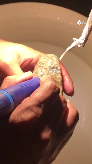 冰飘一丝花